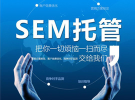 sem-全网